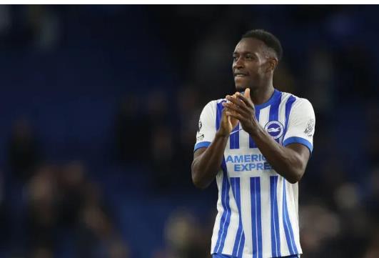 Danny Welbeck dang choi tot trong mau ao Brighton.